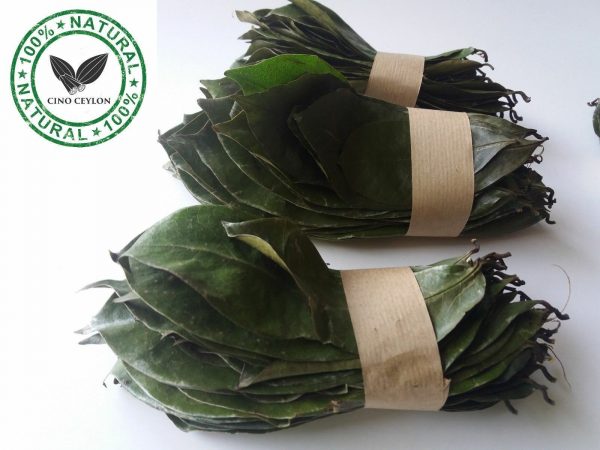 100 Organic Dehydrated Soursop Guanabana Graviola Guyabano Leaves from Ceylon